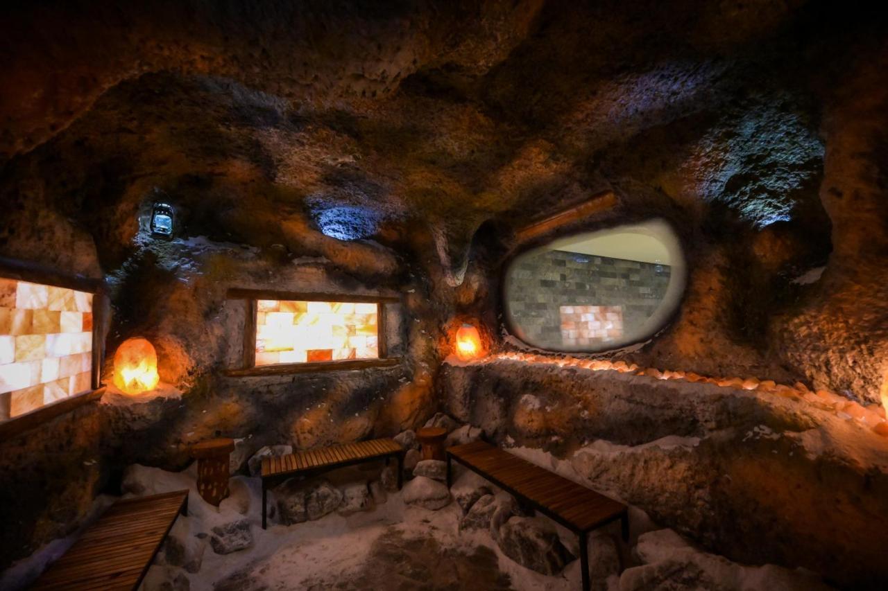 Hotel Yara Vişeu de Sus 外观 照片