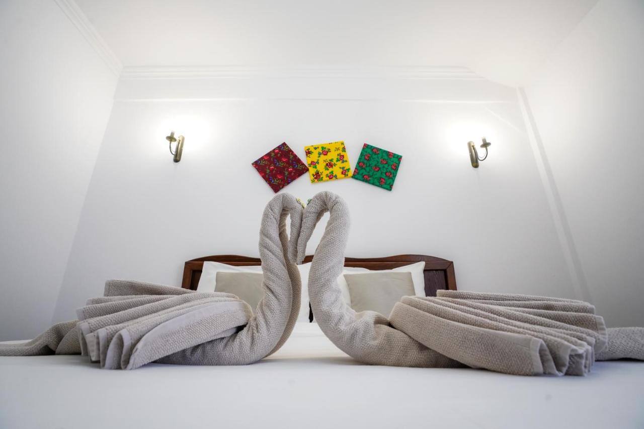 Hotel Yara Vişeu de Sus 外观 照片